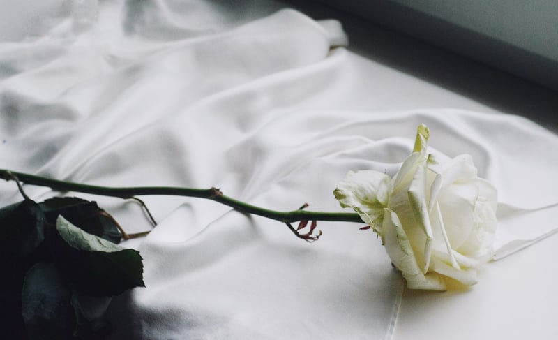 Fresh Floral Arrangements